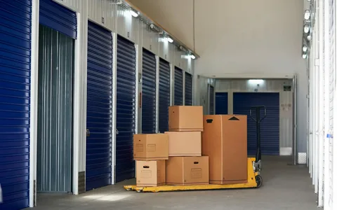 Why Do Businesses Need Professional Storage Services?